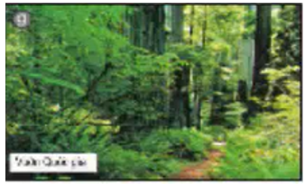 Công nghệ 7 Bài 22: Vai trò của rừng và nhiệm vụ của trồng rừng | Giải bài tập Công nghệ lớp 7