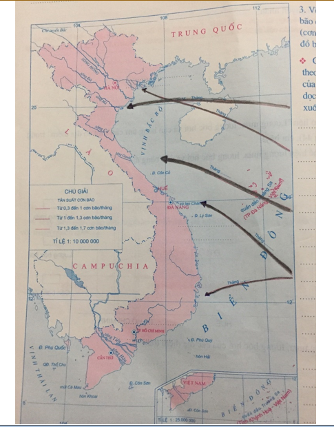 Tập bản đồ Địa Lí 12 Bài 9: Thiên nhiên nhiệt đới ẩm gió mùa | Giải tập bản đồ Địa Lí lớp 12