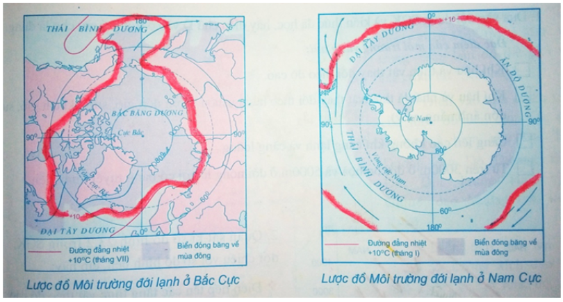 Tập bản đồ Địa Lí 7 Bài 21: Môi trường đới lạnh | Giải tập bản đồ Địa Lí 7