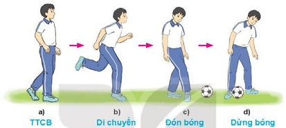 Vận dụng phối hợp kĩ thuật đá bóng và dừng bóng bằng lòng bàn chân để luyện tập, vui chơi hàng ngày