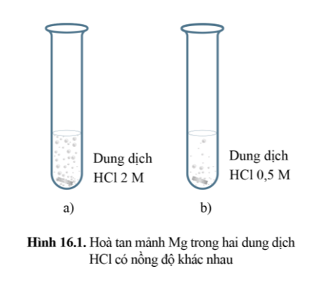 Cho hai mảnh Mg cùng khối lượng vào hai ống nghiệm chứa cùng thể tích dung dịch HCl dư