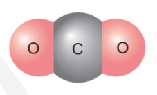 Trong một hợp chất cộng hóa trị, nguyên tố X có hóa trị IV