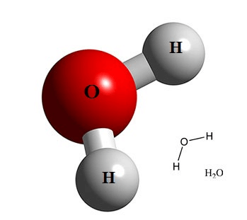 Lý thuyết Sinh 10 Bài 5: Các nguyên tố hóa học và nước - Chân trời sáng tạo