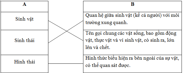 Giải Tiếng Việt 5 | Để học tốt Tiếng Việt 5