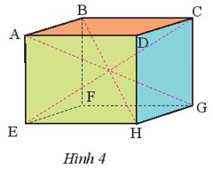 Cho hình hộp chữ nhật ABCD.EFGH (Hình 4) có AD = 8 cm, DC = 5 cm, DH = 6,5 cm