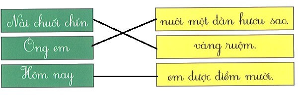 Bài tập cuối tuần Tiếng Việt lớp 1 Tuần 14 Kết nối tri thức (có đáp án) | Đề kiểm tra cuối tuần Tiếng Việt lớp 1