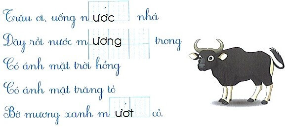 Bài tập cuối tuần Tiếng Việt lớp 1 Tuần 15 Kết nối tri thức (có đáp án) | Đề kiểm tra cuối tuần Tiếng Việt lớp 1