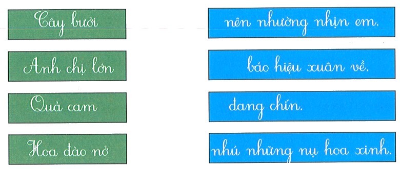 Bài tập cuối tuần Tiếng Việt lớp 1 Tuần 17 Kết nối tri thức (có đáp án) | Đề kiểm tra cuối tuần Tiếng Việt lớp 1
