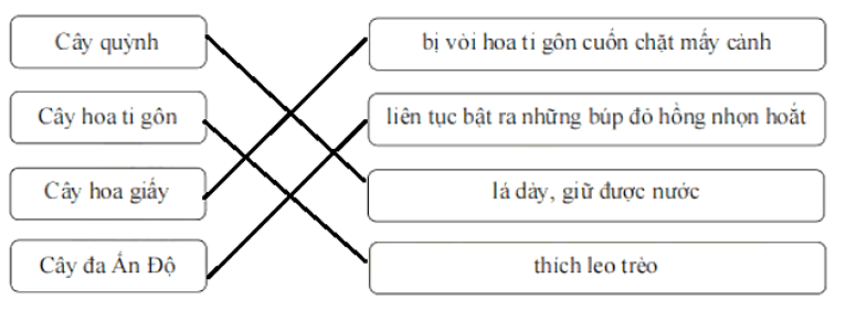 Bài tập cuối tuần Tiếng Việt lớp 1 Tuần 29 Chân trời sáng tạo (có đáp án) | Đề kiểm tra cuối tuần Tiếng Việt lớp 1