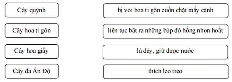 Bài tập cuối tuần Tiếng Việt lớp 1 Tuần 29 Chân trời sáng tạo (có đáp án) | Đề kiểm tra cuối tuần Tiếng Việt lớp 1