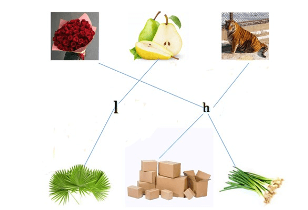 Bài tập cuối tuần Tiếng Việt lớp 1 Tuần 3 Chân trời sáng tạo (có đáp án) | Đề kiểm tra cuối tuần Tiếng Việt lớp 1