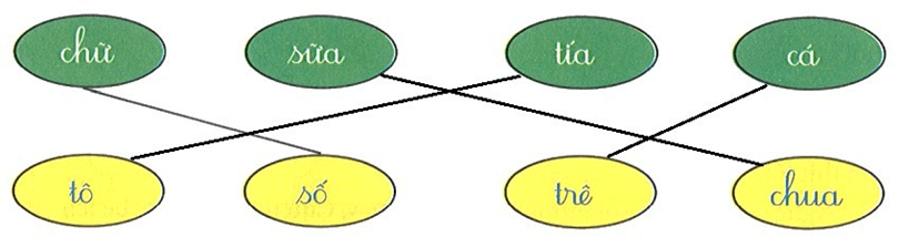 Bài tập cuối tuần Tiếng Việt lớp 1 Tuần 5 Kết nối tri thức (có đáp án) | Đề kiểm tra cuối tuần Tiếng Việt lớp 1