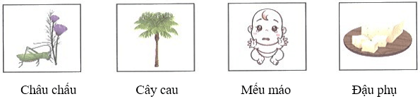 Bài tập cuối tuần Tiếng Việt lớp 1 Tuần 9 Kết nối tri thức (có đáp án) | Đề kiểm tra cuối tuần Tiếng Việt lớp 1