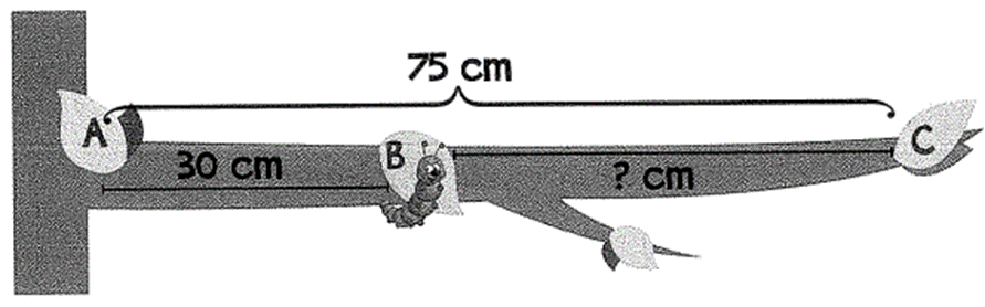 Bài tập cuối tuần Toán lớp 1 Tuần 29 Kết nối tri thức (có đáp án) | Đề kiểm tra cuối tuần Toán lớp 1