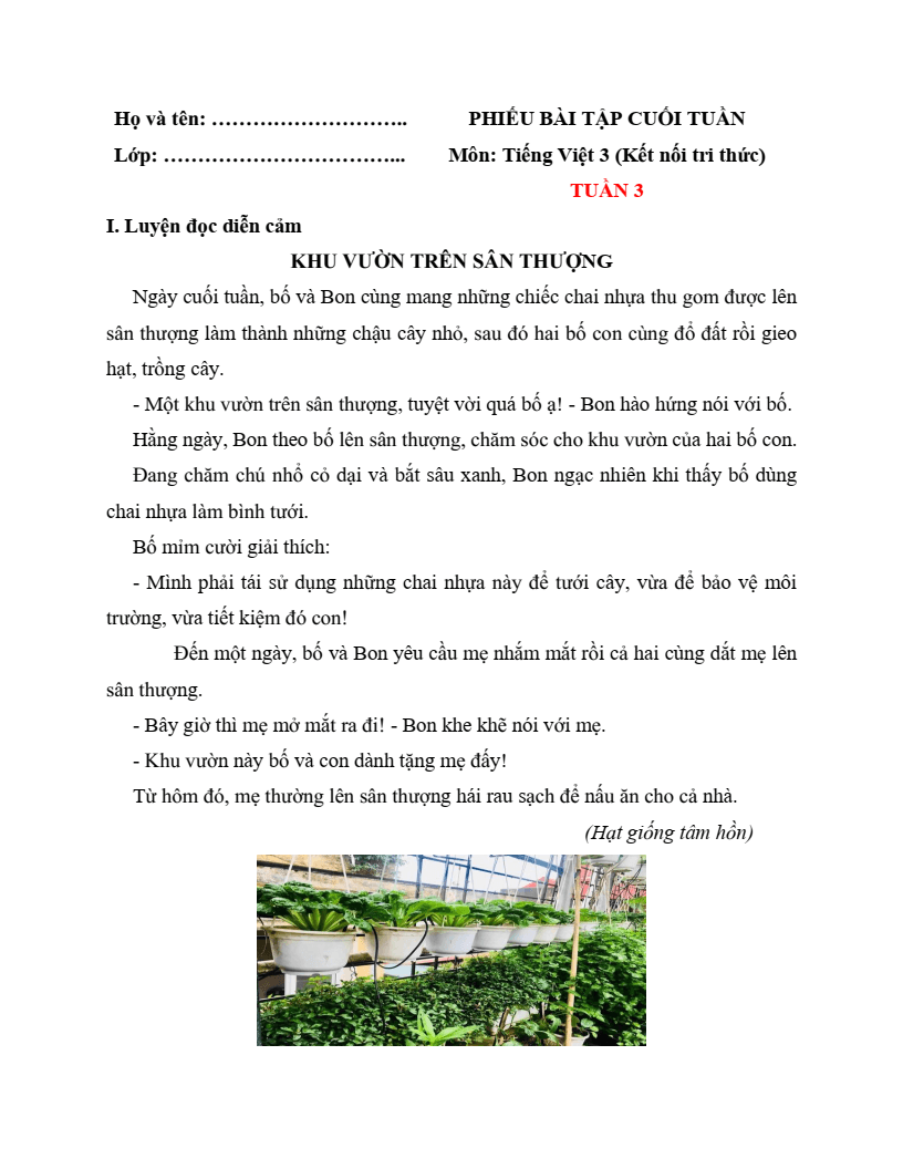 Bài tập cuối tuần Tiếng Việt lớp 3 Kết nối tri thức (cả năm) | Đề kiểm tra cuối tuần Tiếng Việt lớp 3 Học kì 1, Học kì 2