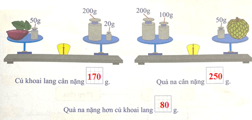 Bài tập cuối tuần Toán lớp 3 Tuần 5 Cánh diều có đáp án | Đề kiểm tra cuối tuần Toán lớp 3