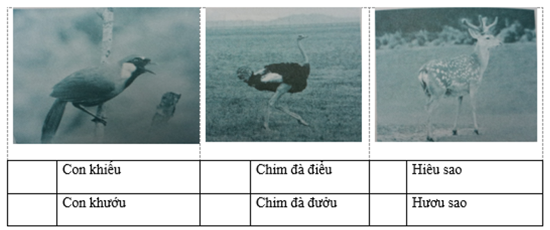 Tiếng Việt lớp 2 Tuần 33 Tiết 3 trang 54, 55 (Dành cho buổi học thứ hai) (ảnh 1)