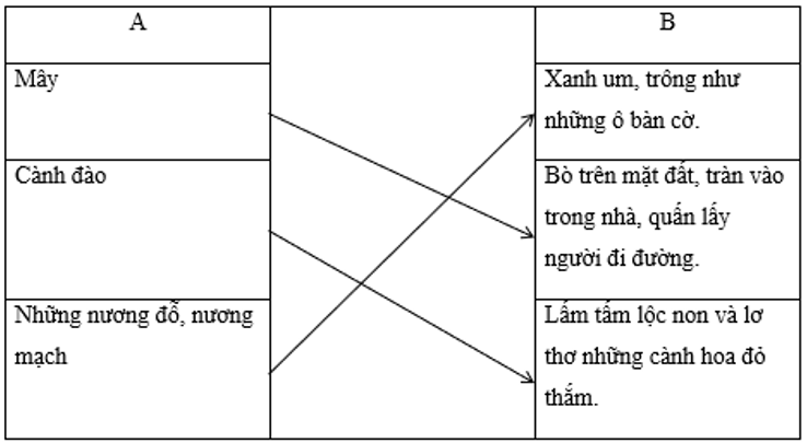 Tiếng Việt lớp 2 Tuần 34 Tiết 1 trang 56, 57 (Dành cho buổi học thứ hai) (ảnh 1)