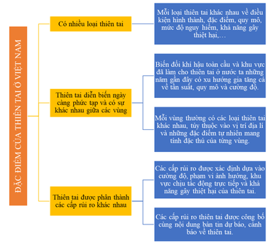 Vẽ sơ đồ hệ thống hóa các đặc điểm của thiên tai ở Việt Nam