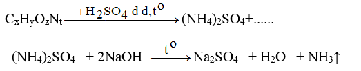 Chuyên đề Sinh học lớp 9