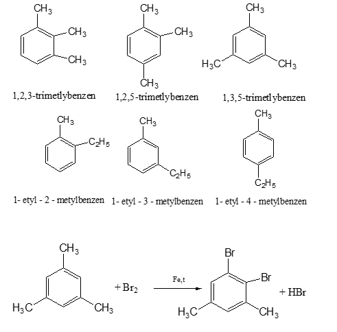 Chuyên đề Sinh học lớp 9