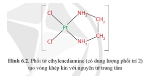 Mỗi loại phối tử trong phức chất ở Hình 6.2 có dung lượng phối trí là bao nhiêu?