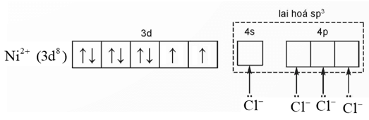 Biết phức chất [NiCl4]2- có dạng hình học tứ diện trang 42 Chuyên đề Hóa 12