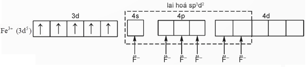 Mô tả sự hình thành phức chất [FeF6]3- theo thuyết liên kết hóa trị Biết Fe có Z