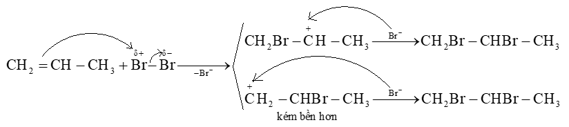 Viết cơ chế để giải thích quá trình tạo thành các sản phẩm của phản ứng giữa propene với bromine
