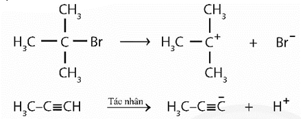 Hãy chỉ ra tiểu phân carbocation và carbanion hình thành trong Ví dụ 5