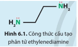 Để tạo thành phức chất bát diện, cation Co3 nhận 6 cặp electron chưa liên kết từ các phối tử