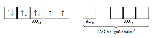 Bằng thực nghiệm người ta xác định được cấu tạo của phức chất [NiCl4]2 như hình bên