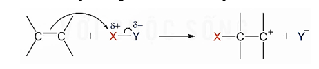 Việc nghiên cứu cơ chế phản ứng trong hoá học hữu cơ có vai trò quan trọng, giúp dự đoán