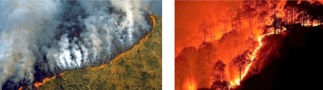 Vụ cháy rừng Amazon gây thiệt hại nặng nề tới cả thể giới đã diễn ra