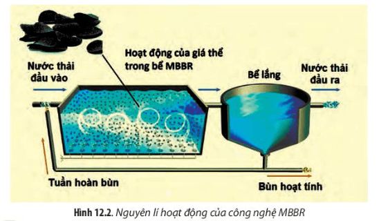Dựa vào Hình 12.2 và 12.3, hãy mô tả nguyên lí xử lí nước ô nhiễm theo công nghệ MBBR và AAO (ảnh 1)