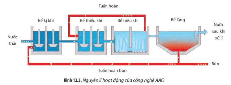Dựa vào Hình 12.2 và 12.3, hãy mô tả nguyên lí xử lí nước ô nhiễm theo công nghệ MBBR và AAO (ảnh 2)