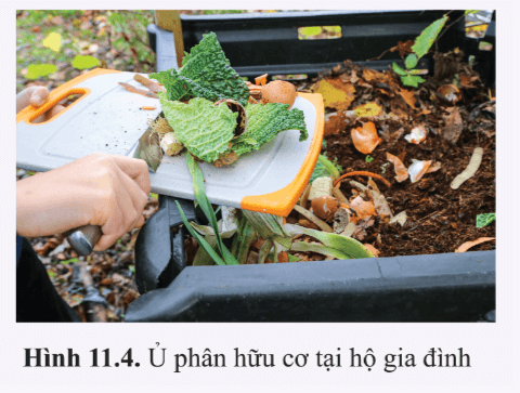 Trong các hộ gia đình, rác hữu cơ từ nhà bếp được thu gom và ủ