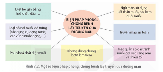 Dựa vào sơ đồ Hình 7.2 trình bày các biện pháp phòng chống bệnh lây truyền