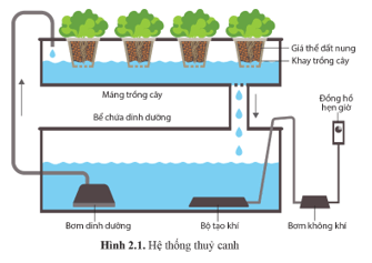 Quan sát hình 2.1, cho biết trang 14 Chuyên đề Sinh học 11