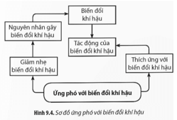 Quan sát Hình 9.4 và cho biết: Ứng phó với biến đổi khí hậu bằng cách nào 