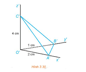 Bài 3.9 trang 66 Chuyên đề Toán 11