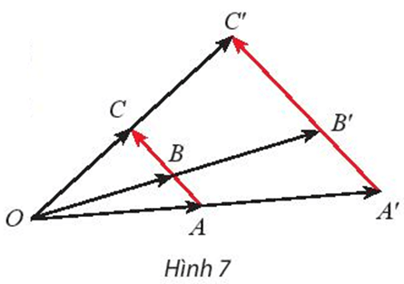 Khám phá 3 trang 33 Chuyên đề học tập Toán 11 Chân trời sáng tạo