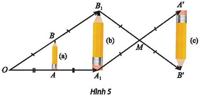 Vận dụng 2 trang 40 Chuyên đề học tập Toán 11 Chân trời sáng tạo