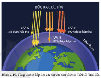 Quan sát hình 2.10 và mô tả khả năng hấp thụ của các bức xạ cực tím UV-A, UV-B, UV-C