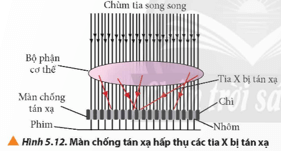 Quan sát Hình 5.12, giải thích vì sao màn chống tán xạ thường gồm những tấm chì