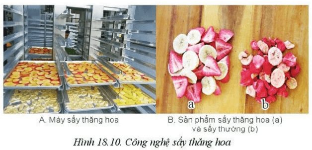 Em hãy so sánh 2 sản phẩm của công nghệ sấy thăng hoa (a) so với công nghệ sấy thường (b)