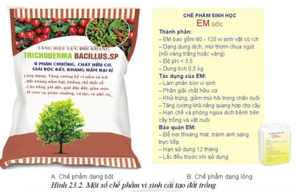 Em hãy đọc thông tin trên bao bì của chế phẩm vi sinh vật trong Hình 23.2