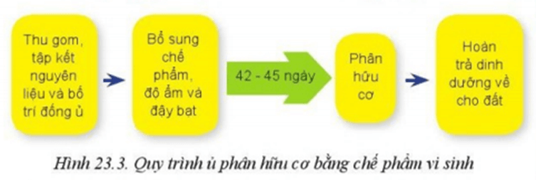 Quá trình xử lí phụ phẩm trồng trọt chế phẩm vi sinh của địa phương em