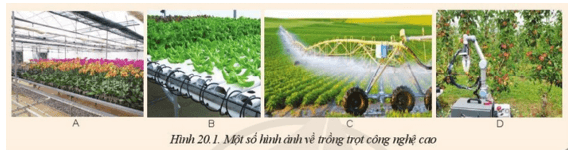 Quan sát Hình 20.1, cho biết công nghệ cao nào được ứng dụng trong trồng trọt