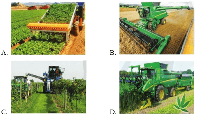 Trắc nghiệm Công nghệ 10 Cánh diều Bài 17 (có đáp án): Ứng dụng cơ giới hoá trong trồng trọt | Công nghệ trồng trọt 10